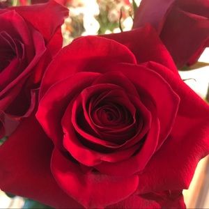 Meet your Posher, Trish